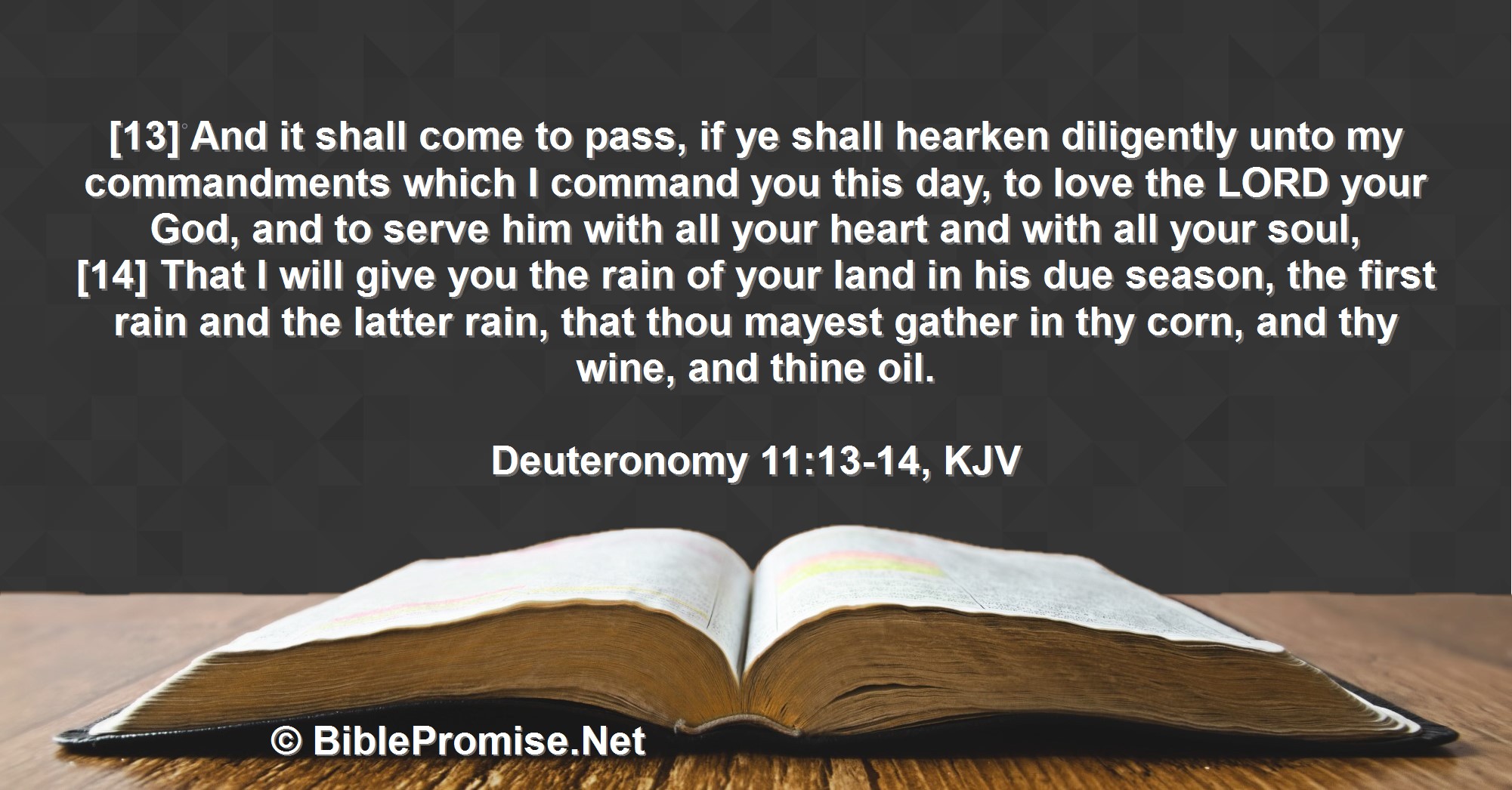 bible-promise-for-sunday-february-2-2025-bible-promise