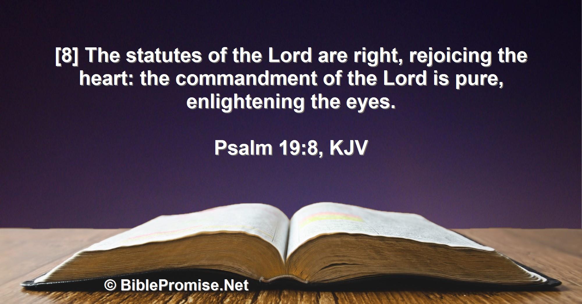 Monday, August 1, 2022 - Psalm 19:8 (KJV) - Bible promise that statutes of the Lord are rejoicing the heart and the commandment of the Lord is enlightening the eyes.