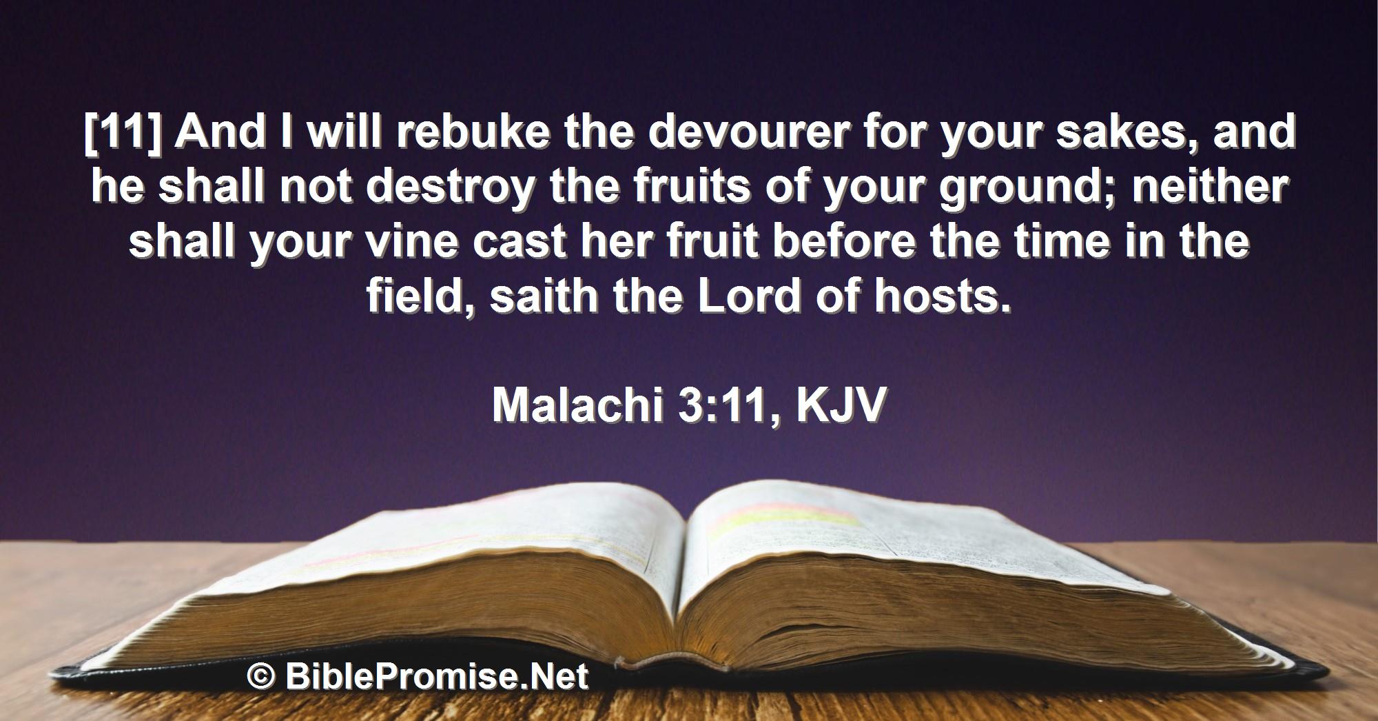 Monday, September 19, 2022 - Malachi 3:11 (KJV) - Bible promise that God will rebuke the devourer for your sakes, so that he will not destroy the fruit of your ground.