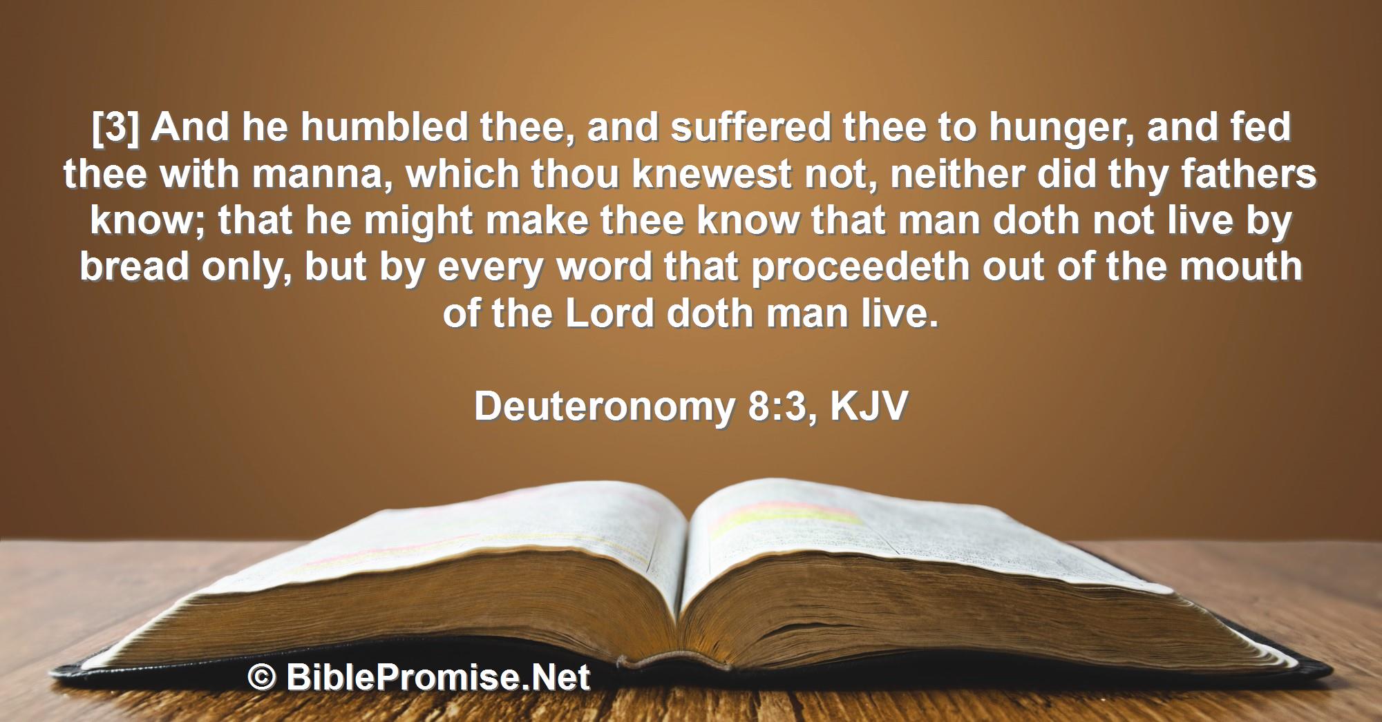 Friday, September 23, 2022 - Deuteronomy 8:3 (KJV) - Bible promise that man shall not live by bread alone; but man lives by every word that proceeds from the mouth of the Lord.