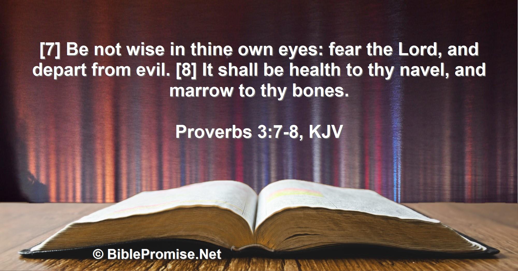 Tuesday, May 30, 2023 - Proverbs 3:7-8 (KJV) - Bible promise that God will heal you.