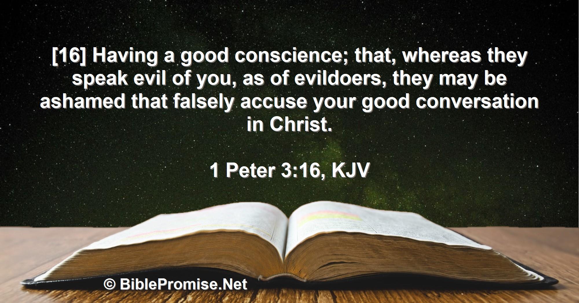 Wednesday, May 31, 2023 - 1 Peter 3:16 (KJV) - Bible promise that false accusers will be ashamed.
