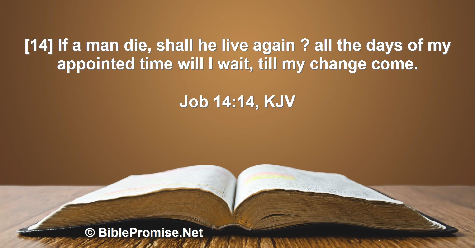 Friday, June 9, 2023 - Job 14:14 (KJV) - Bible promise that God will change us at appointed time.