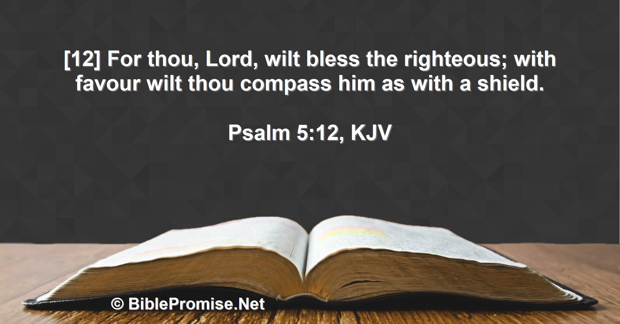 Sunday, June 11, 2023 - Psalm 5:12 (KJV) - Bible promise that God protects His people.
